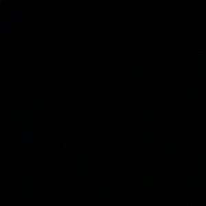 Meet your Posher, Daniela